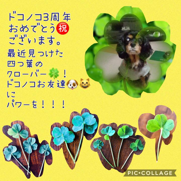 De2ca2dc 0a7b 4634 98d1 e40969f92e36 1559653824367