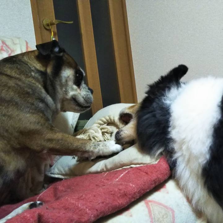 De2ca675 afd7 42c4 bc2e 1493c820309d 1581682432600