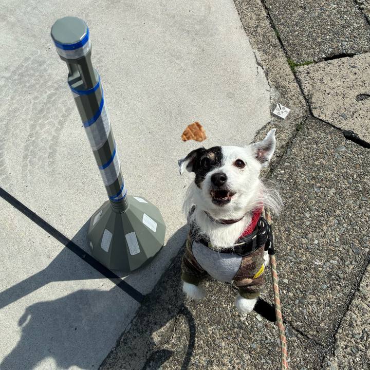 De2cb75a e002 446d a71e 334a749438f1 1774143245861