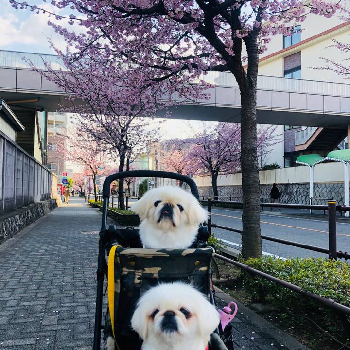 De2ccc36 47af 479e bf2b 0d1cb6b39888 1615192137015