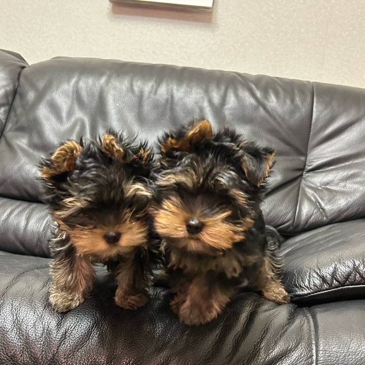 De2ce83b 75d6 4f48 afba 812495c50d5f 1710587484491