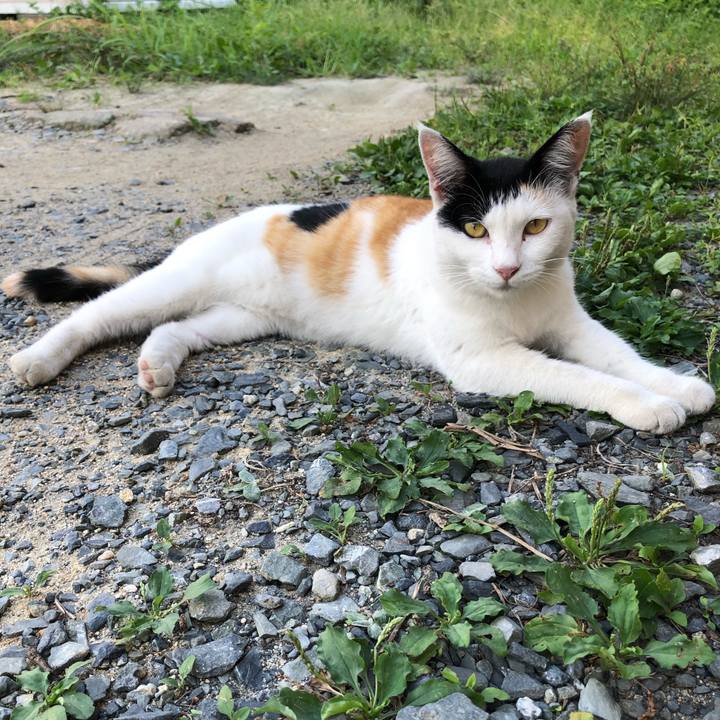 De2cffd2 a99f 4d5a 8f04 13e3f8a00cca 1598879955318