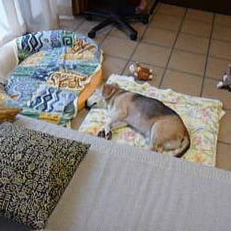 De2d8aa7 1c5d 4460 8f6b 018488c49643 1693354885235