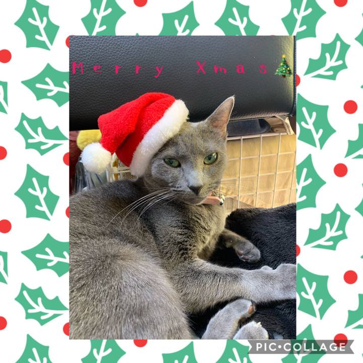 De2dcbcd 5da5 4e4a 9fc9 f921e41ca40c 1577177469264