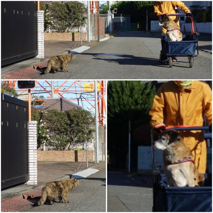 De2de7d7 999b 4355 8b4e d99e7fe25f5d 1575074345450