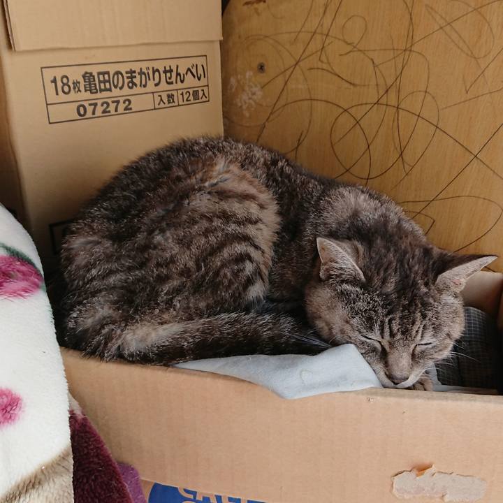 De2e09bf 7d90 4dfe 893e 21f35776968d 1570926379439