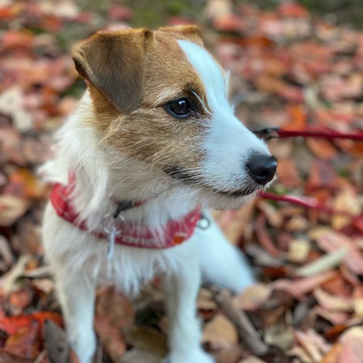 De2e1aaf 62cc 496c b25c 54679b01f1fd 1636285151027