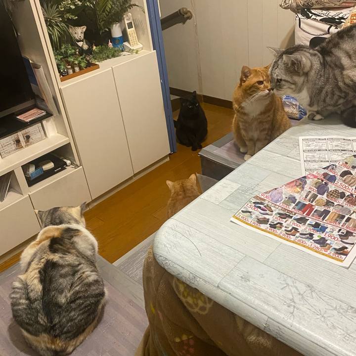 De2e5043 ad1d 4612 9331 210b69a1b16b 1669215360135