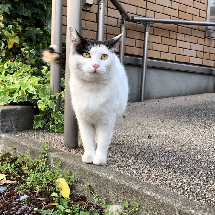 De2e557a 365e 46bd 8d70 7df1558b9f3e 1616969090297