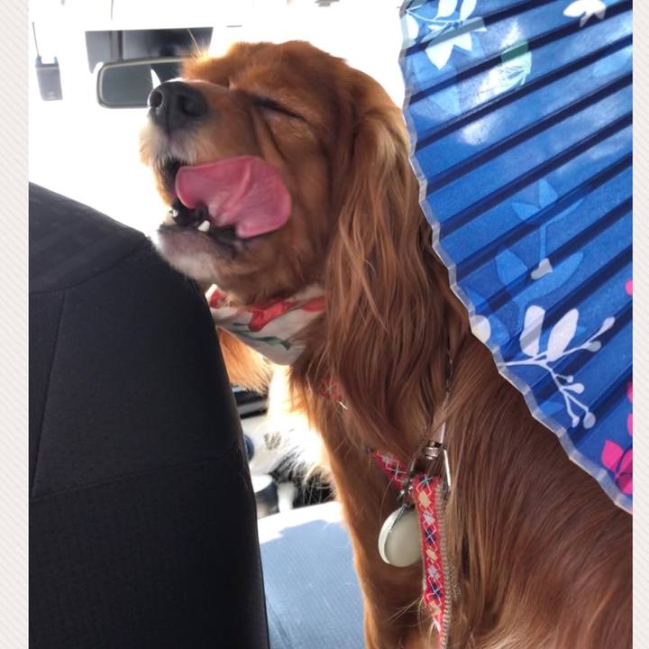 De2e72b3 47a5 4b02 89c5 f7859074a160 1598056582070