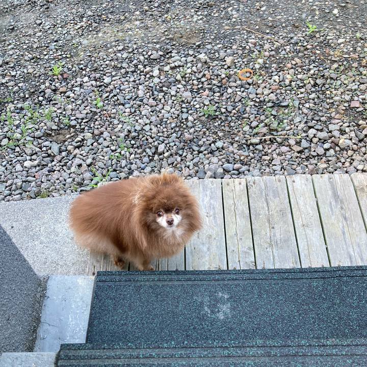 De2e85ad dc1a 4580 9974 d11bc3931608 1722545360137