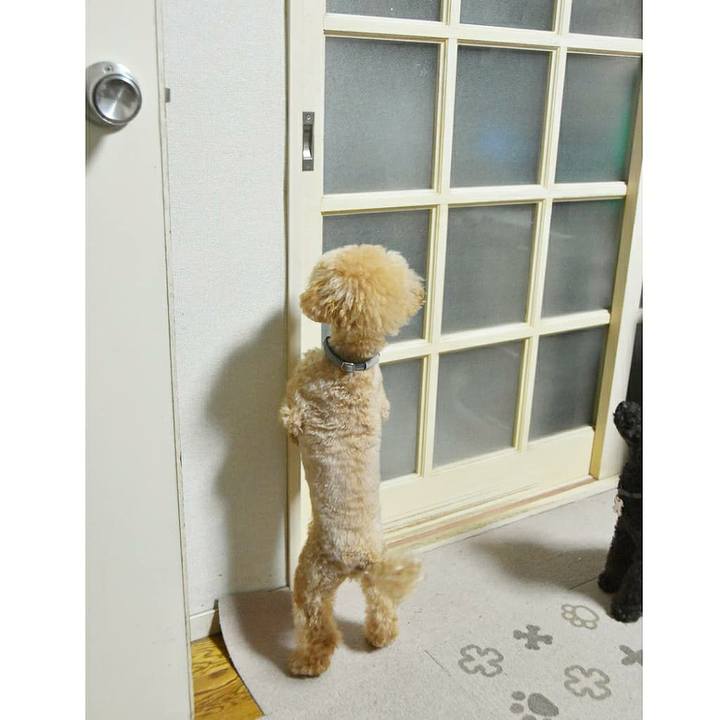 De2ebea1 605f 48d6 bdae 76097cab40aa 1593436562083