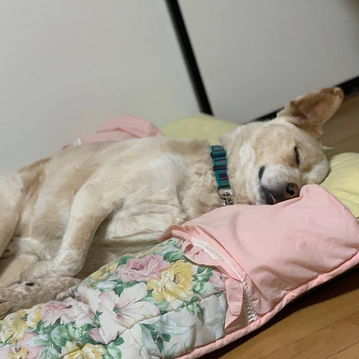 De2ee15c 7444 4fb5 9ef8 aea07dbb0c04 1556713871446