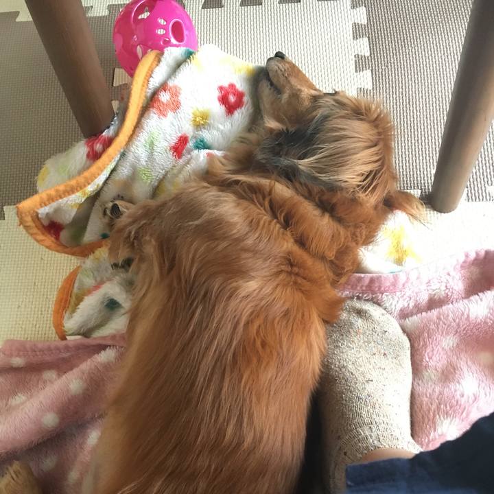 De2ee23a 05d3 442e b56b 6403c7cec0e1 1521359066227