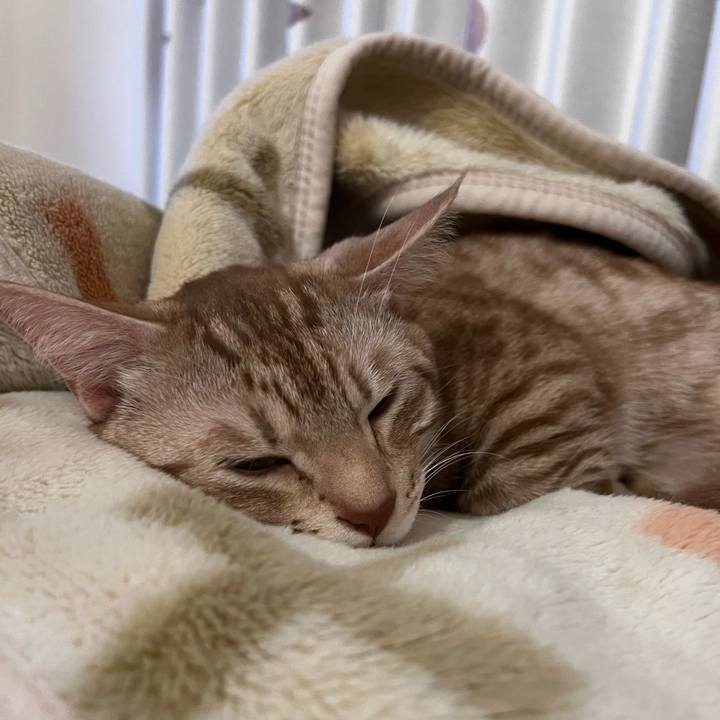 De2f5779 01fb 4c0e 9db8 42a67e27a537 1704196209995