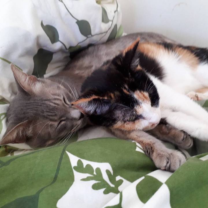 De2fa2bd da8a 413b b709 0c687d823bf2 1538839097404