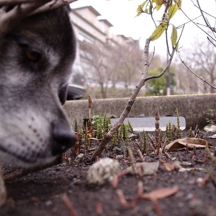 De2fb40f 90bf 4ed5 bb5c ca36fe729b37 1520648867933