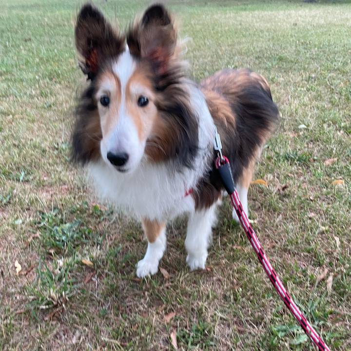 De2fcb60 8ca6 4870 9cfb 563f328f5c78 1626436005849