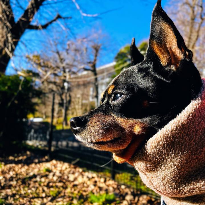 De2fce7f 8ba2 429d a452 606f300c102a 1767528908440