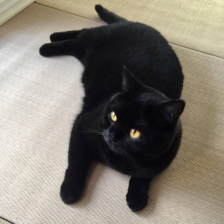 De2fd579 0c86 4d93 9f5d 6f6b445e20e0 1532299068770