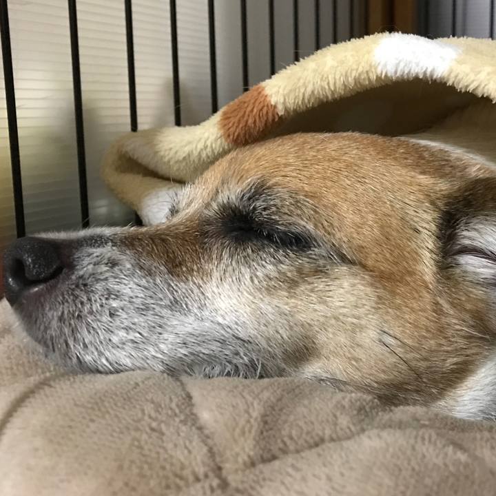 De2ffeb1 9587 418d 8765 044d5a141768 1577626723765