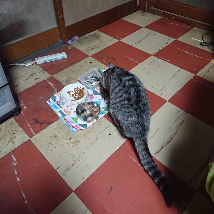 De302538 234a 4730 a755 77d6aa00ddb3 1588882416969