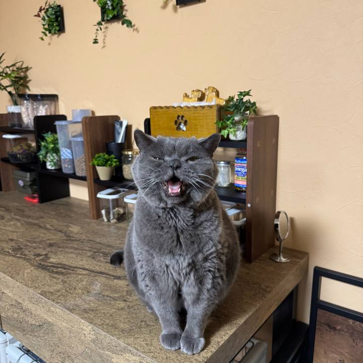 De304383 7f9b 46c8 9ecd 2089bc8124b6 1773475409708