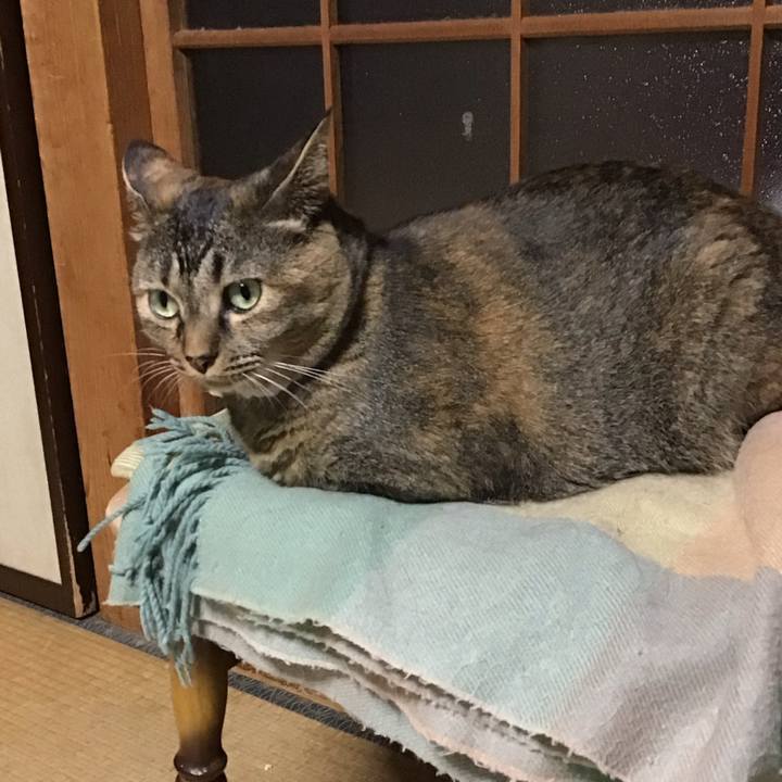 De30b596 e44b 4408 8c02 a4ee622fa3ad 1726307943910