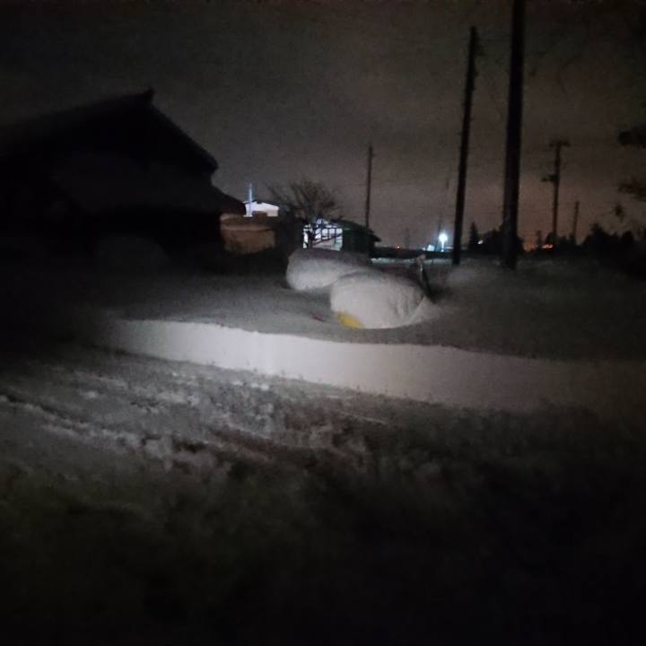 De30cb5f 186a 498a bf1c 90a715591fad 1608149559331