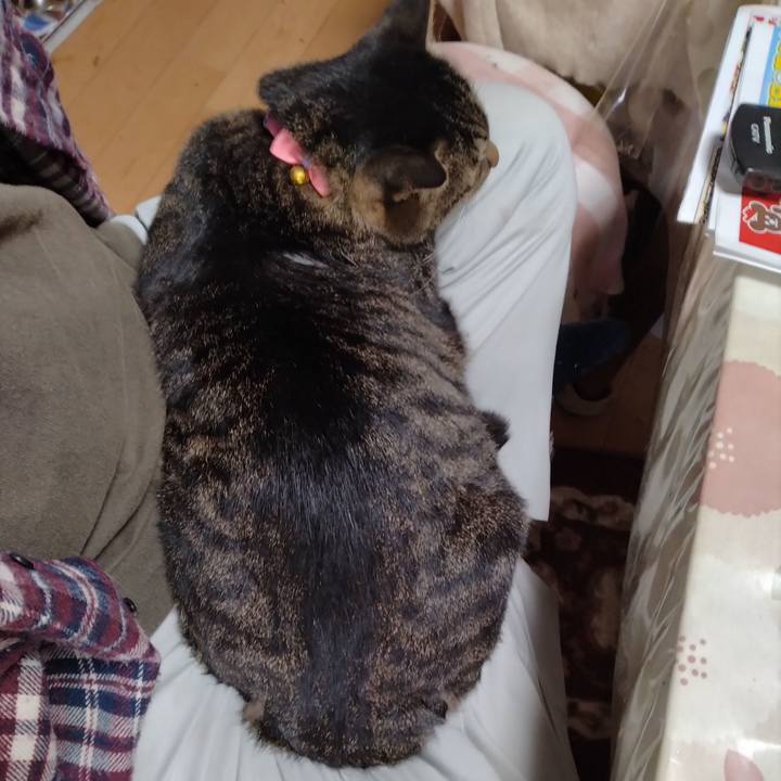 De3106d5 02d8 4e6e bace 8c6dbfeba027 1666484892750