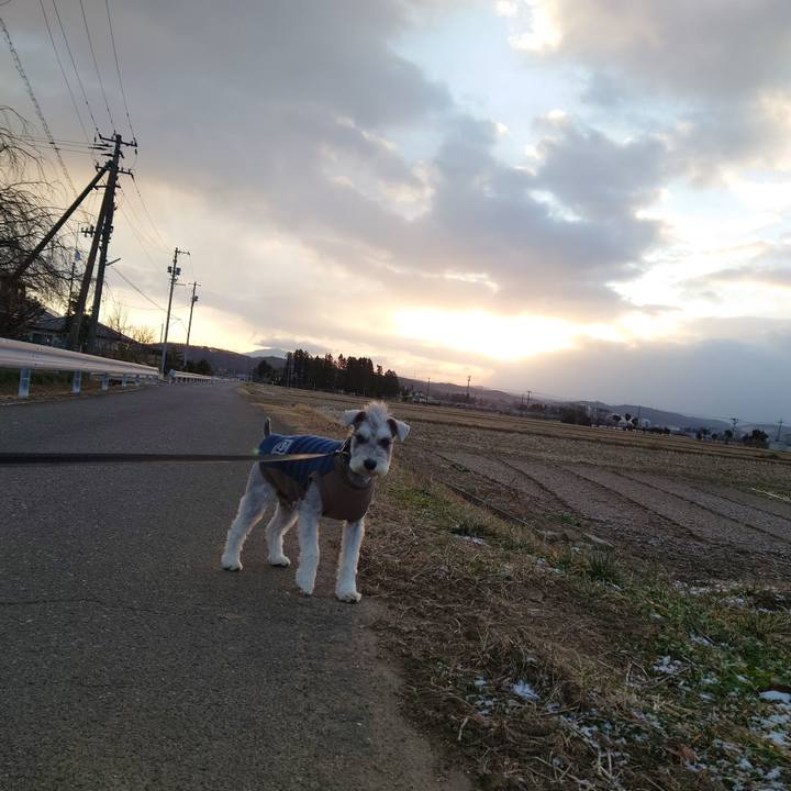 De310ad5 2fc6 439a abae d9473221e7d1 1766790645295