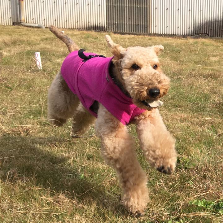 De31279a 9b4d 4ab8 b1fd b911a35deb7d 1544441309523