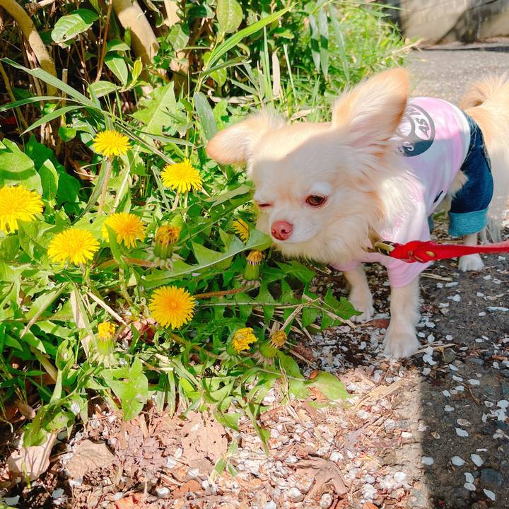 De312816 7222 44f7 9c24 e4a6e8e1db9c 1649162524792