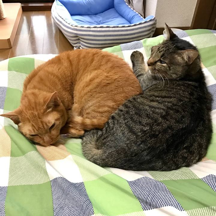 De315030 4589 4fe3 bf8a 749311a25bfc 1545115743368