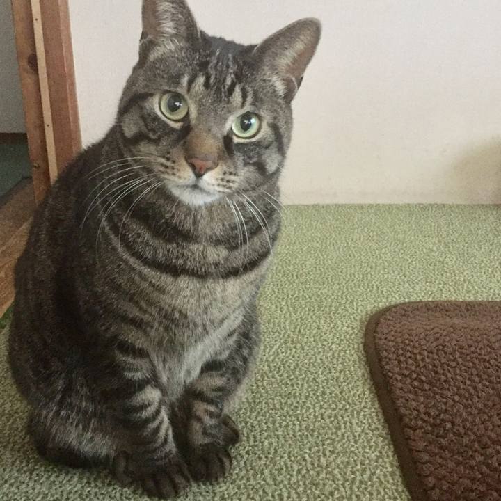 De3179a3 e38f 4923 9fc8 d91dce7cc33e 1517043232067