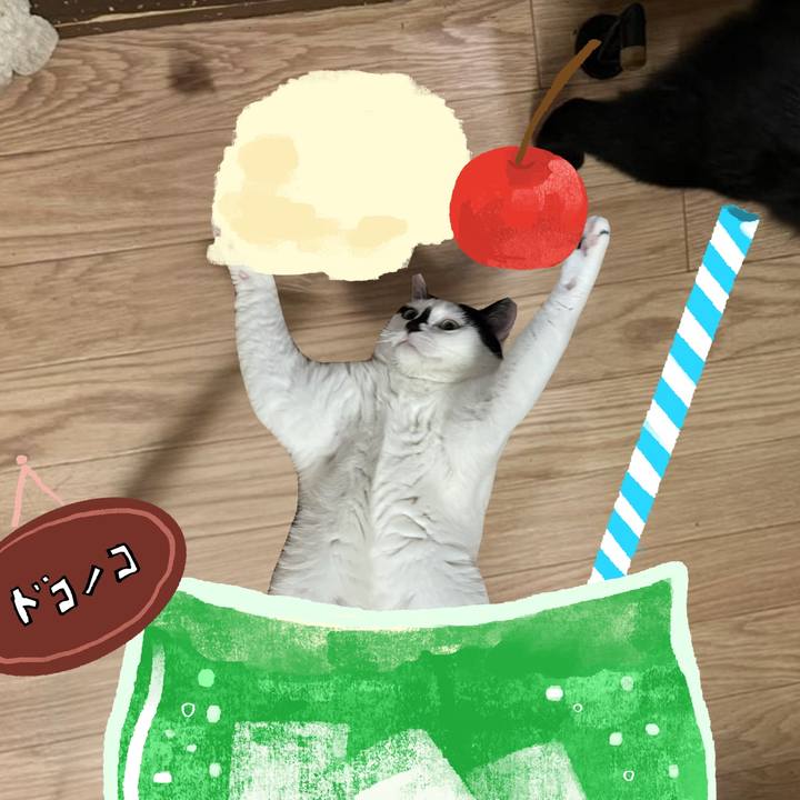 De31947f 4b2c 471f b307 06daf70d9648 1755140460208