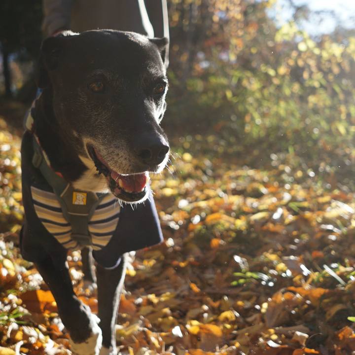 De31a5d5 e645 4f4a 86b3 e4232d184584 1764807646680