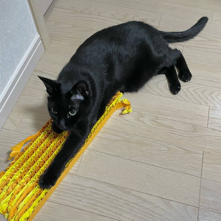 De31bb03 c4ef 46b3 913c 8d31258f580d 1733229297634