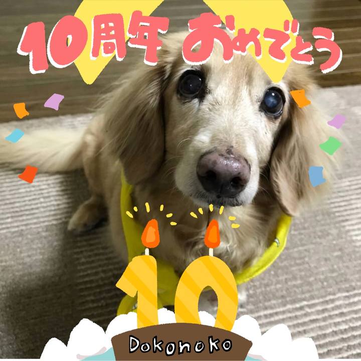 De31d126 eab0 410f b990 e5a00fedf270 1780758436791