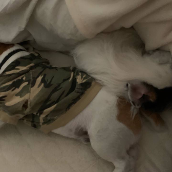 De31d2ef 6801 49db a5a9 340232ce574a 1555939632137