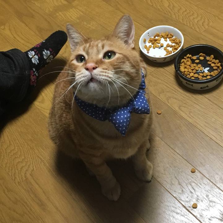 De31d6fa 0fab 462a 9669 ab2c63648aca 1544781572544