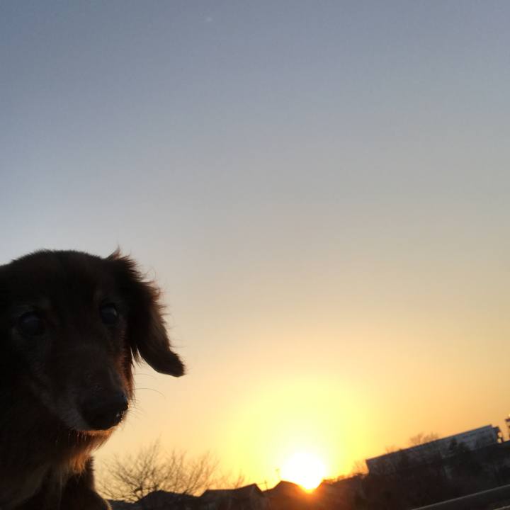 De31ed8e 66e0 4ad6 a12f 3d1a3bea4374 1520843875393