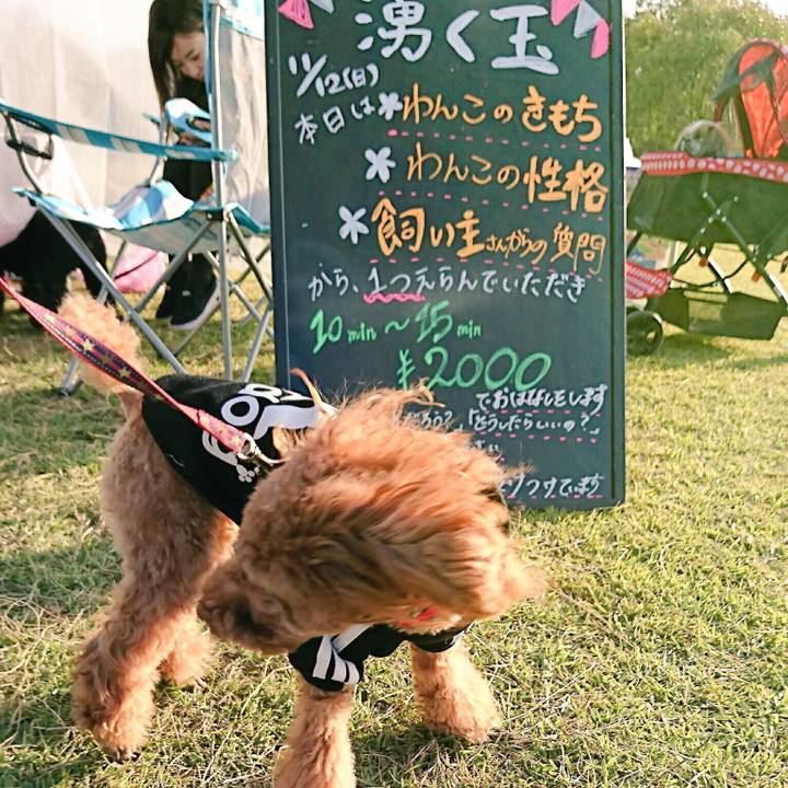 De31f11e 057f 4ecc a55c faef53228083 1510573327776