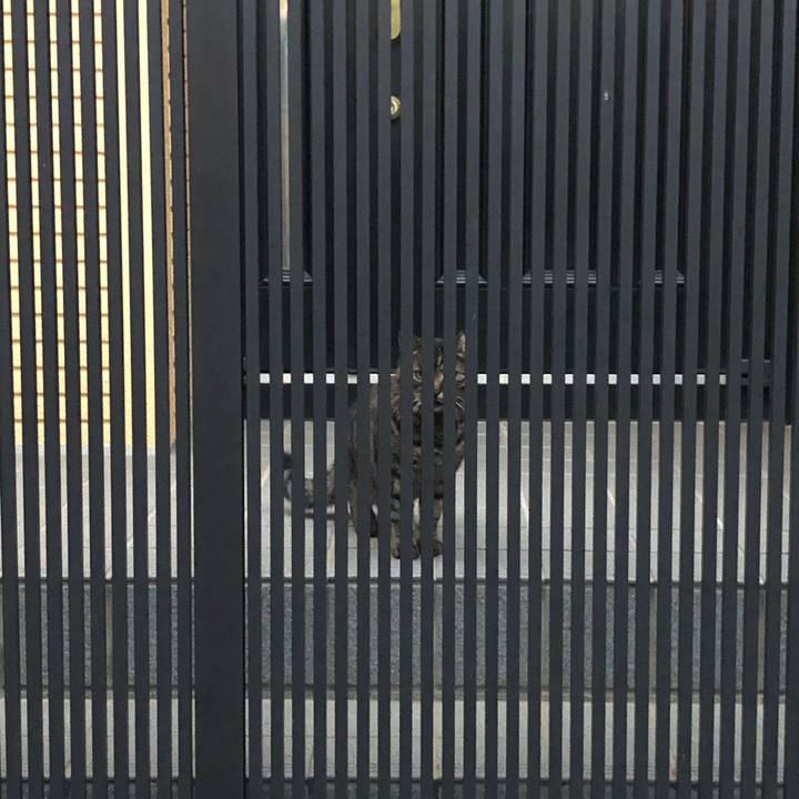 De3217eb 7484 424a a478 6c1f50532812 1573212861813