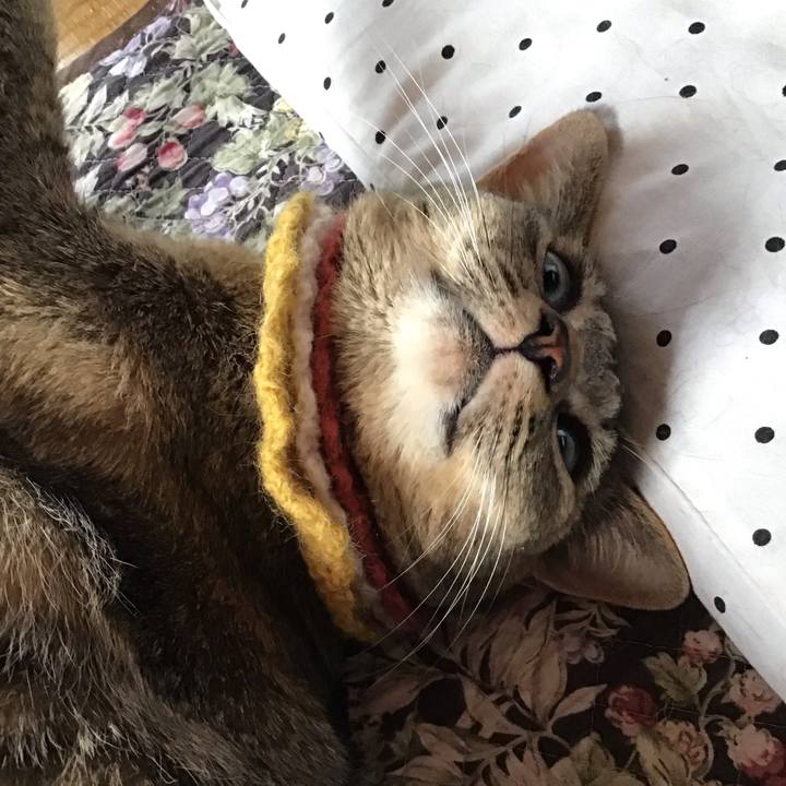 De32525b 6d41 4827 ac86 097f0a9e77fb 1623369027701