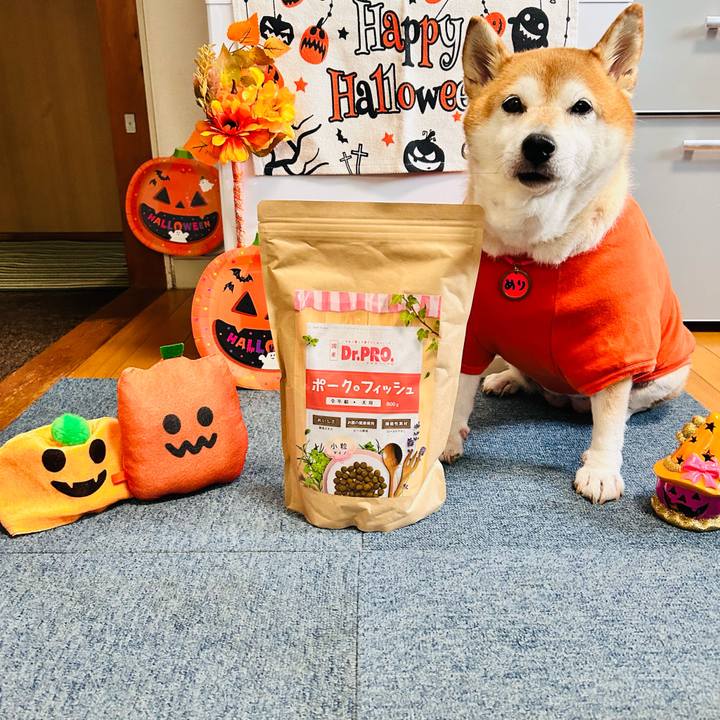 De32a3f0 2d1b 4854 82d1 6b8cfdb3481e 1730274165831