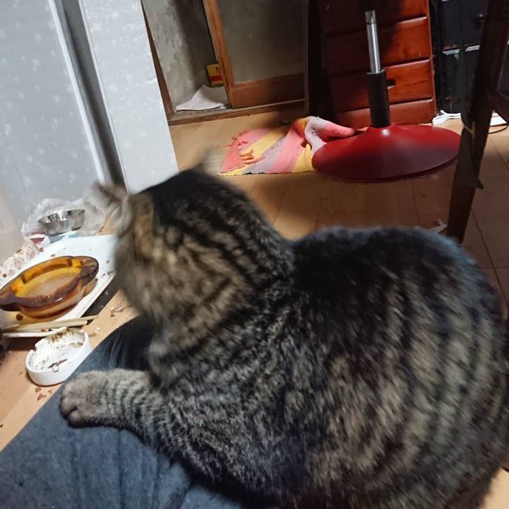 De32ee5d 13a9 49df 9268 de47651350aa 1639342407530