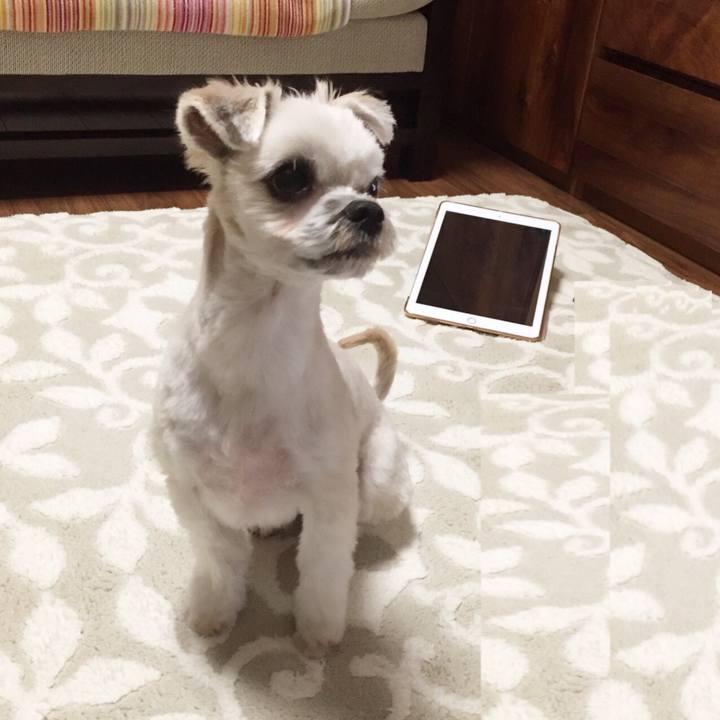 De32ef2a 1155 4515 ac2b 8e0ce3c761e4 1545903246692