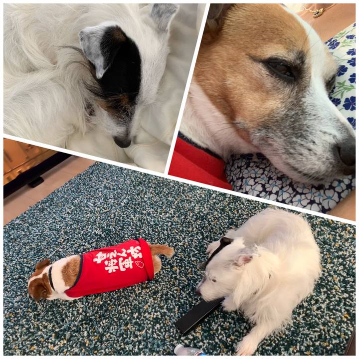 De332c8b c214 488c bb55 1123b7356343 1597904426691