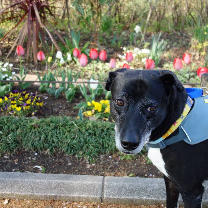 De3334b7 5a9b 418b 8656 f7c30a50312a 1744417150733